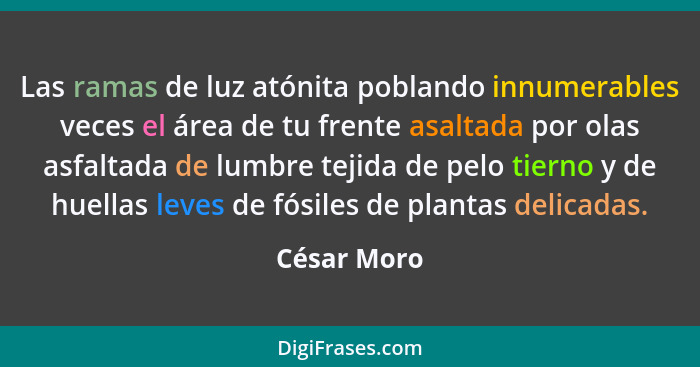 Las ramas de luz atónita poblando innumerables veces el área de tu frente asaltada por olas asfaltada de lumbre tejida de pelo tierno y d... - César Moro