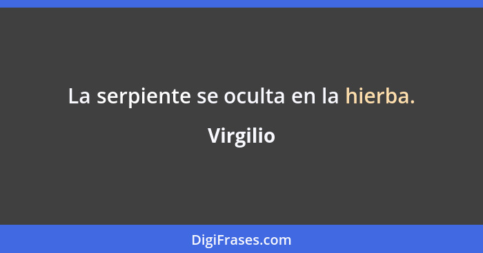 La serpiente se oculta en la hierba.... - Virgilio