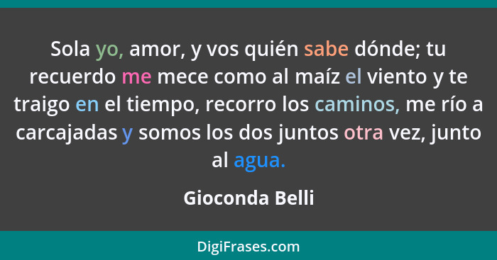 Sola yo, amor, y vos quién sabe dónde; tu recuerdo me mece como al maíz el viento y te traigo en el tiempo, recorro los caminos, me r... - Gioconda Belli