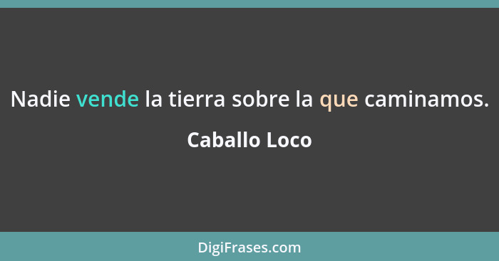 Nadie vende la tierra sobre la que caminamos.... - Caballo Loco