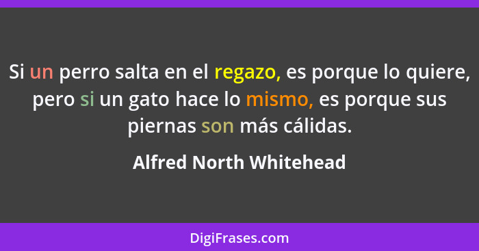 Si un perro salta en el regazo, es porque lo quiere, pero si un gato hace lo mismo, es porque sus piernas son más cálidas.... - Alfred North Whitehead