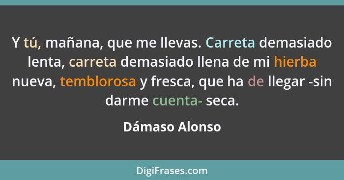 Y tú, mañana, que me llevas. Carreta demasiado lenta, carreta demasiado llena de mi hierba nueva, temblorosa y fresca, que ha de llega... - Dámaso Alonso