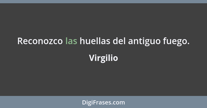 Reconozco las huellas del antiguo fuego.... - Virgilio