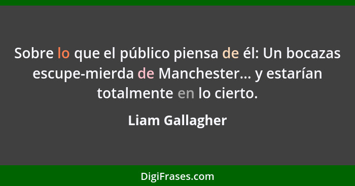 Sobre lo que el público piensa de él: Un bocazas escupe-mierda de Manchester... y estarían totalmente en lo cierto.... - Liam Gallagher