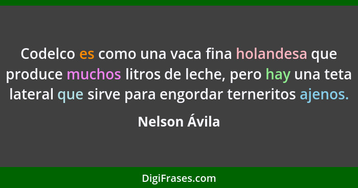 Codelco es como una vaca fina holandesa que produce muchos litros de leche, pero hay una teta lateral que sirve para engordar ternerito... - Nelson Ávila