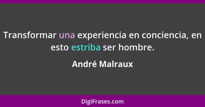Transformar una experiencia en conciencia, en esto estriba ser hombre.... - André Malraux