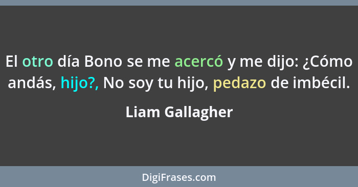 El otro día Bono se me acercó y me dijo: ¿Cómo andás, hijo?, No soy tu hijo, pedazo de imbécil.... - Liam Gallagher