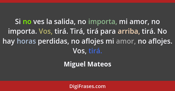 Si no ves la salida, no importa, mi amor, no importa. Vos, tirá. Tirá, tirá para arriba, tirá. No hay horas perdidas, no aflojes mi am... - Miguel Mateos