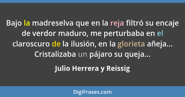 Bajo la madreselva que en la reja filtró su encaje de verdor maduro, me perturbaba en el claroscuro de la ilusión, en la glo... - Julio Herrera y Reissig