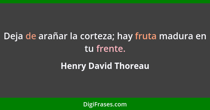 Deja de arañar la corteza; hay fruta madura en tu frente.... - Henry David Thoreau