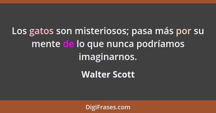 Los gatos son misteriosos; pasa más por su mente de lo que nunca podríamos imaginarnos.... - Walter Scott