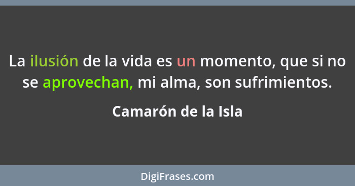 La ilusión de la vida es un momento, que si no se aprovechan, mi alma, son sufrimientos.... - Camarón de la Isla