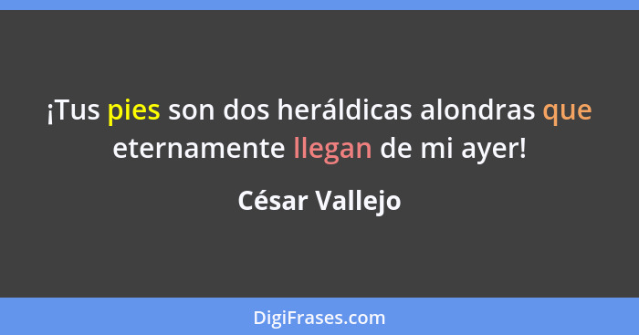 ¡Tus pies son dos heráldicas alondras que eternamente llegan de mi ayer!... - César Vallejo