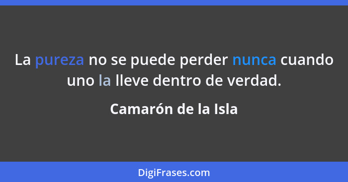 La pureza no se puede perder nunca cuando uno la lleve dentro de verdad.... - Camarón de la Isla