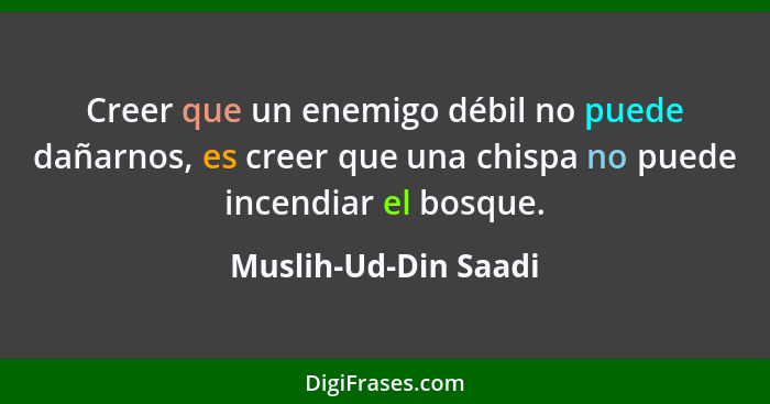 Creer que un enemigo débil no puede dañarnos, es creer que una chispa no puede incendiar el bosque.... - Muslih-Ud-Din Saadi