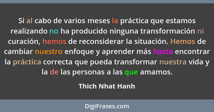 Si al cabo de varios meses la práctica que estamos realizando no ha producido ninguna transformación ni curación, hemos de reconside... - Thich Nhat Hanh