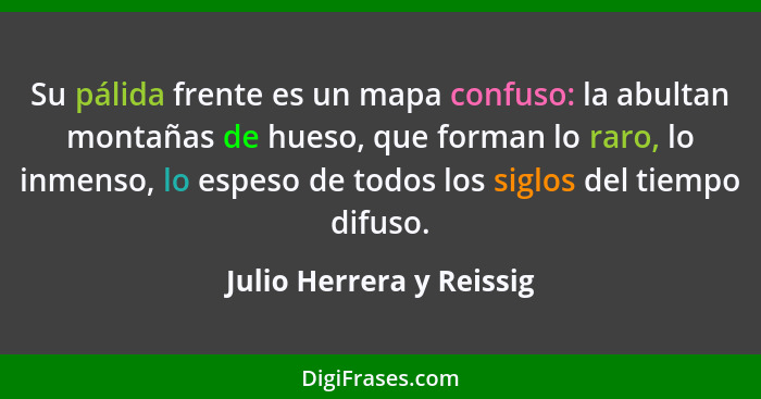 Su pálida frente es un mapa confuso: la abultan montañas de hueso, que forman lo raro, lo inmenso, lo espeso de todos los si... - Julio Herrera y Reissig