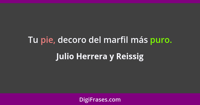 Tu pie, decoro del marfil más puro.... - Julio Herrera y Reissig