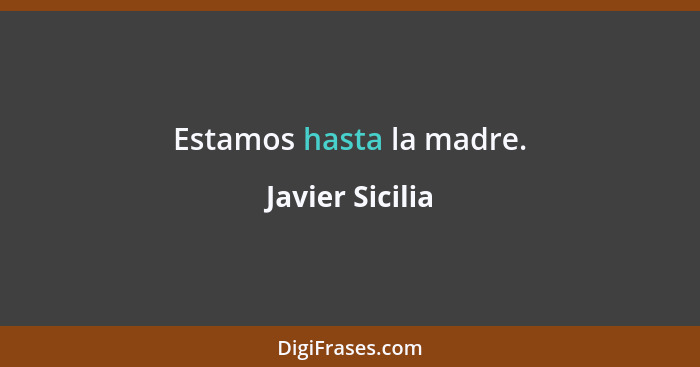 Estamos hasta la madre.... - Javier Sicilia