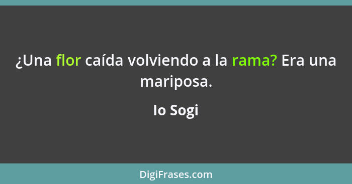 ¿Una flor caída volviendo a la rama? Era una mariposa.... - Io Sogi