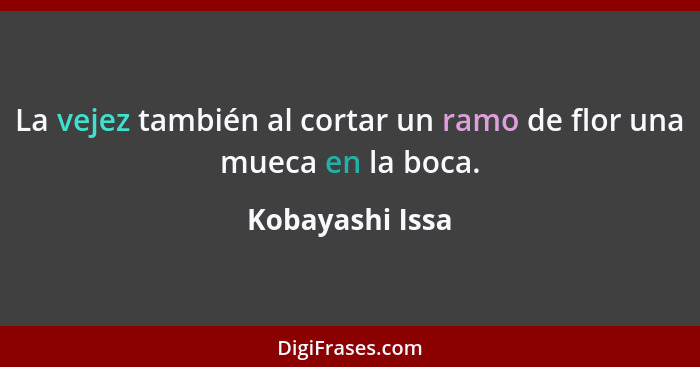 La vejez también al cortar un ramo de flor una mueca en la boca.... - Kobayashi Issa