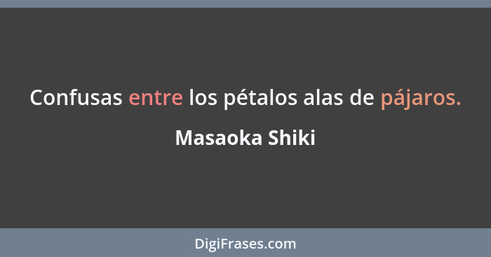 Confusas entre los pétalos alas de pájaros.... - Masaoka Shiki