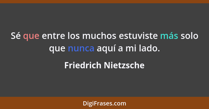 Sé que entre los muchos estuviste más solo que nunca aquí a mi lado.... - Friedrich Nietzsche