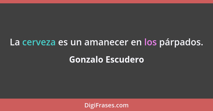 La cerveza es un amanecer en los párpados.... - Gonzalo Escudero