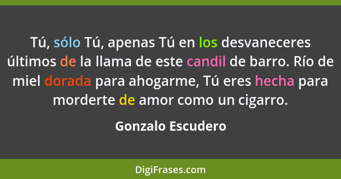 Tú, sólo Tú, apenas Tú en los desvaneceres últimos de la llama de este candil de barro. Río de miel dorada para ahogarme, Tú eres h... - Gonzalo Escudero