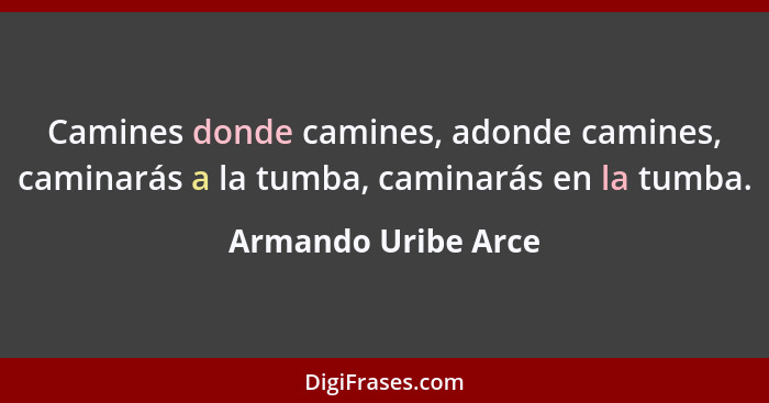 Camines donde camines, adonde camines, caminarás a la tumba, caminarás en la tumba.... - Armando Uribe Arce