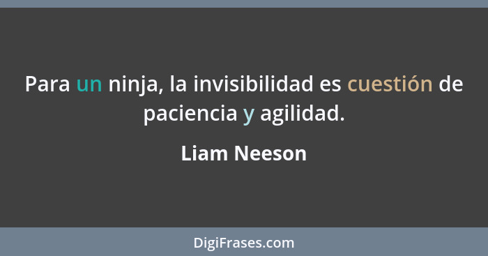 Para un ninja, la invisibilidad es cuestión de paciencia y agilidad.... - Liam Neeson
