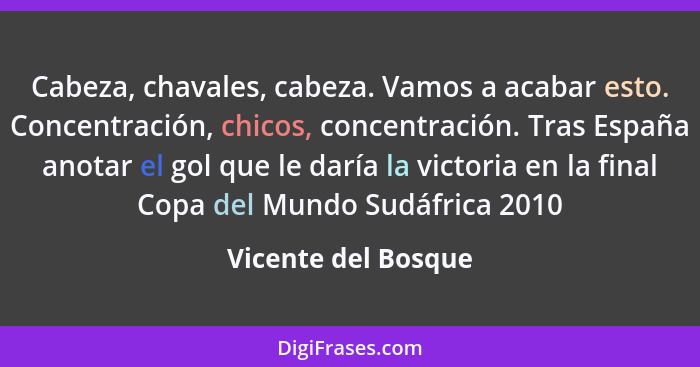 Cabeza, chavales, cabeza. Vamos a acabar esto. Concentración, chicos, concentración. Tras España anotar el gol que le daría la vi... - Vicente del Bosque