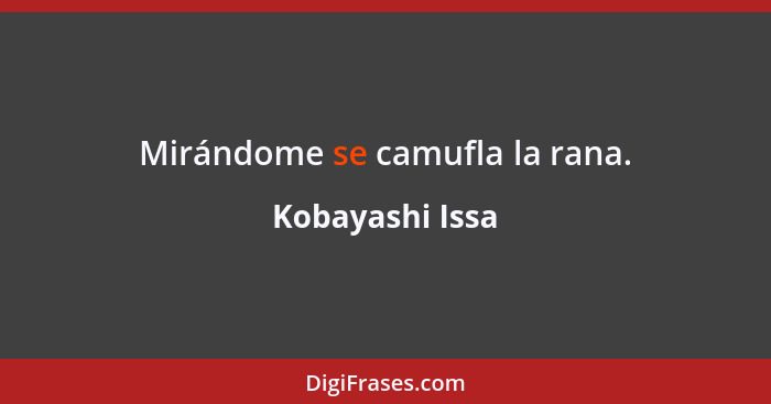 Mirándome se camufla la rana.... - Kobayashi Issa