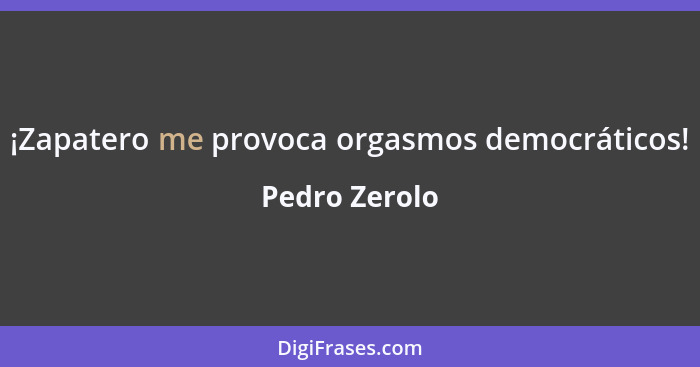 ¡Zapatero me provoca orgasmos democráticos!... - Pedro Zerolo