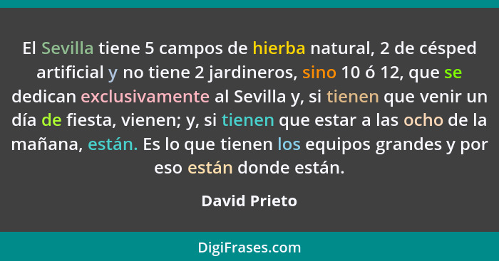 El Sevilla tiene 5 campos de hierba natural, 2 de césped artificial y no tiene 2 jardineros, sino 10 ó 12, que se dedican exclusivament... - David Prieto