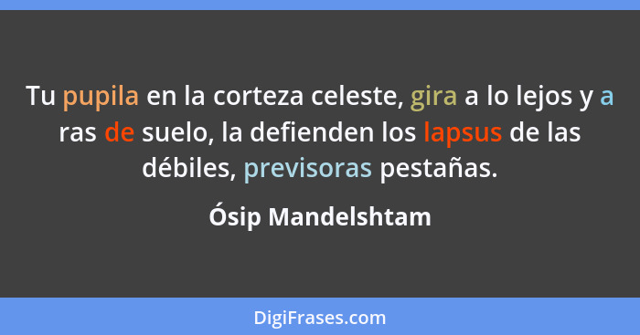 Tu pupila en la corteza celeste, gira a lo lejos y a ras de suelo, la defienden los lapsus de las débiles, previsoras pestañas.... - Ósip Mandelshtam