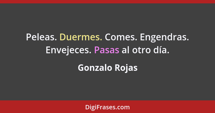 Peleas. Duermes. Comes. Engendras. Envejeces. Pasas al otro día.... - Gonzalo Rojas