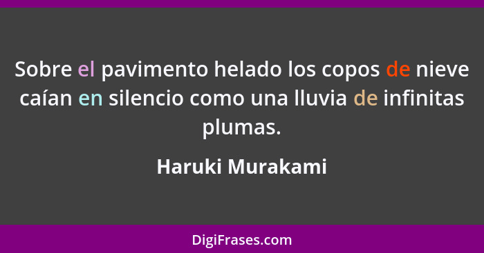 Sobre el pavimento helado los copos de nieve caían en silencio como una lluvia de infinitas plumas.... - Haruki Murakami