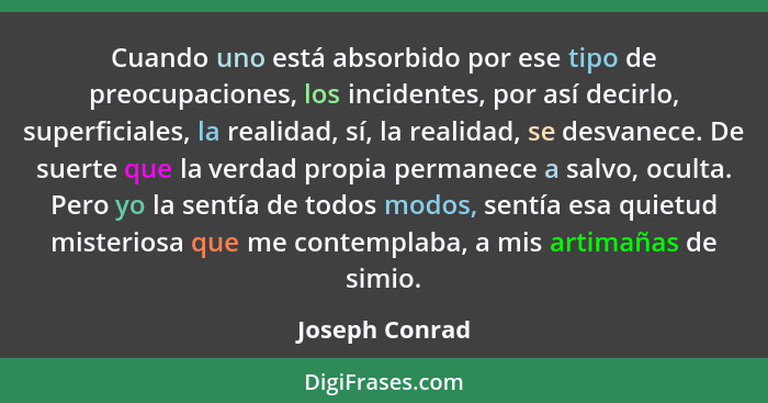 Cuando uno está absorbido por ese tipo de preocupaciones, los incidentes, por así decirlo, superficiales, la realidad, sí, la realidad... - Joseph Conrad