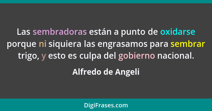 Las sembradoras están a punto de oxidarse porque ni siquiera las engrasamos para sembrar trigo, y esto es culpa del gobierno nacio... - Alfredo de Angeli