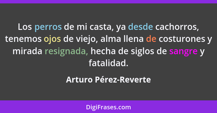 Los perros de mi casta, ya desde cachorros, tenemos ojos de viejo, alma llena de costurones y mirada resignada, hecha de siglos... - Arturo Pérez-Reverte