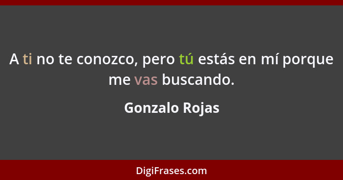 A ti no te conozco, pero tú estás en mí porque me vas buscando.... - Gonzalo Rojas