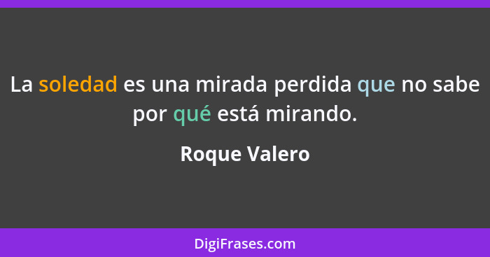 La soledad es una mirada perdida que no sabe por qué está mirando.... - Roque Valero