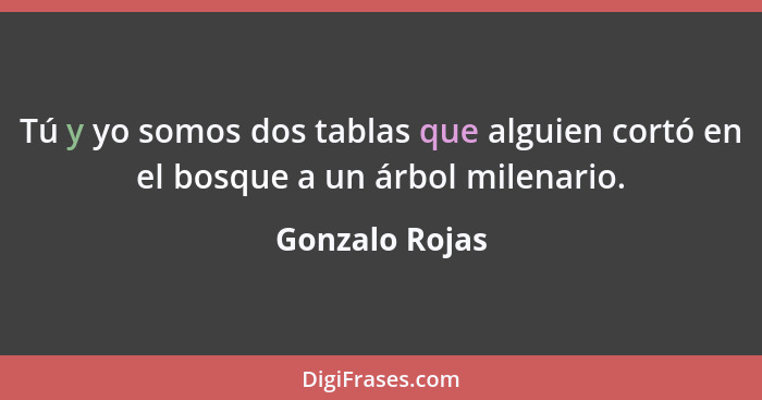 Tú y yo somos dos tablas que alguien cortó en el bosque a un árbol milenario.... - Gonzalo Rojas