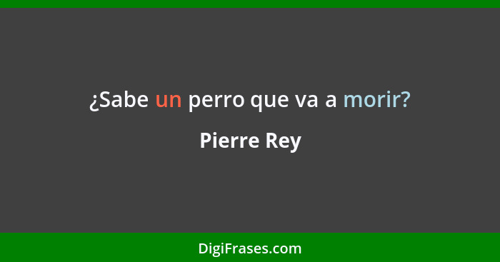 ¿Sabe un perro que va a morir?... - Pierre Rey