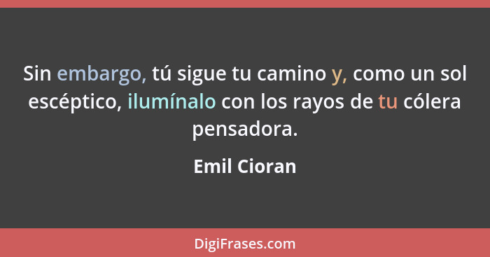 Sin embargo, tú sigue tu camino y, como un sol escéptico, ilumínalo con los rayos de tu cólera pensadora.... - Emil Cioran