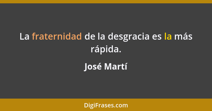 La fraternidad de la desgracia es la más rápida.... - José Martí