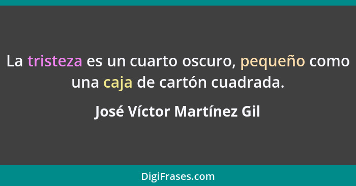 La tristeza es un cuarto oscuro, pequeño como una caja de cartón cuadrada.... - José Víctor Martínez Gil