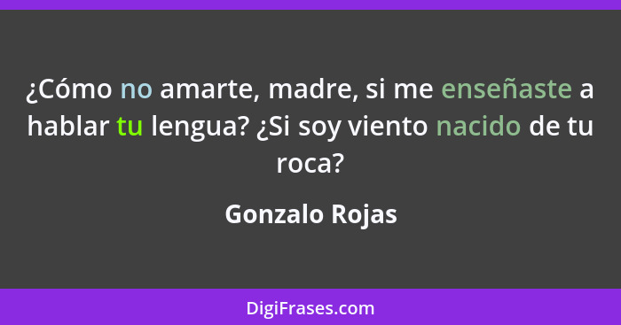 ¿Cómo no amarte, madre, si me enseñaste a hablar tu lengua? ¿Si soy viento nacido de tu roca?... - Gonzalo Rojas