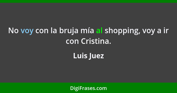 No voy con la bruja mía al shopping, voy a ir con Cristina.... - Luis Juez